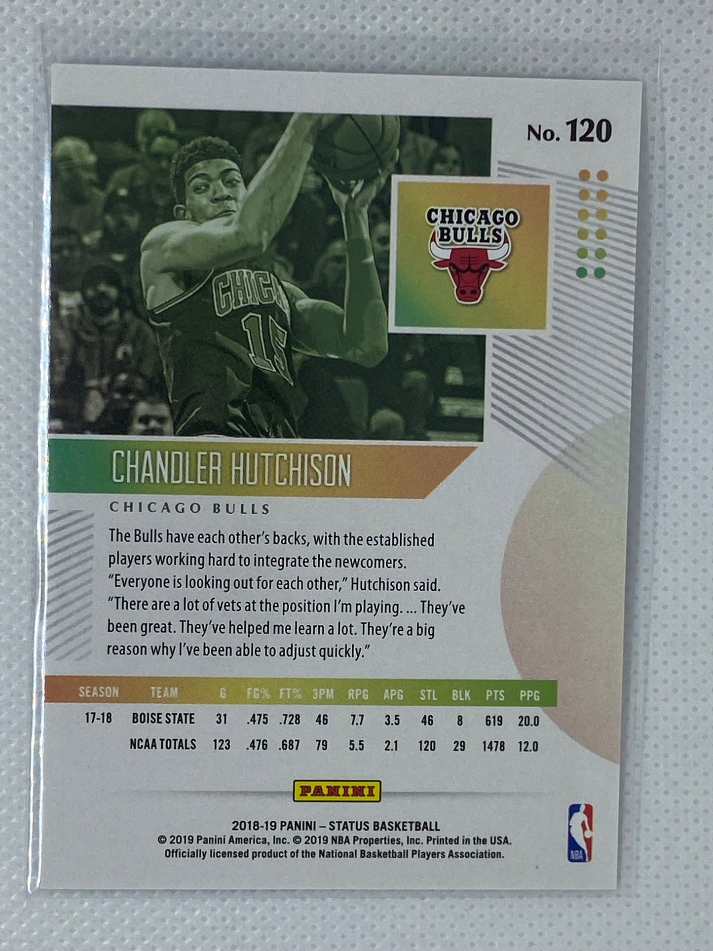 2018-19 Status Rookie Card Chandler Hutchinson #120 Chicago Bulls