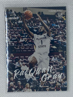 2021-22 Panini Chronicles Draft Picks Luminance Raiquan Gray Rookie #100