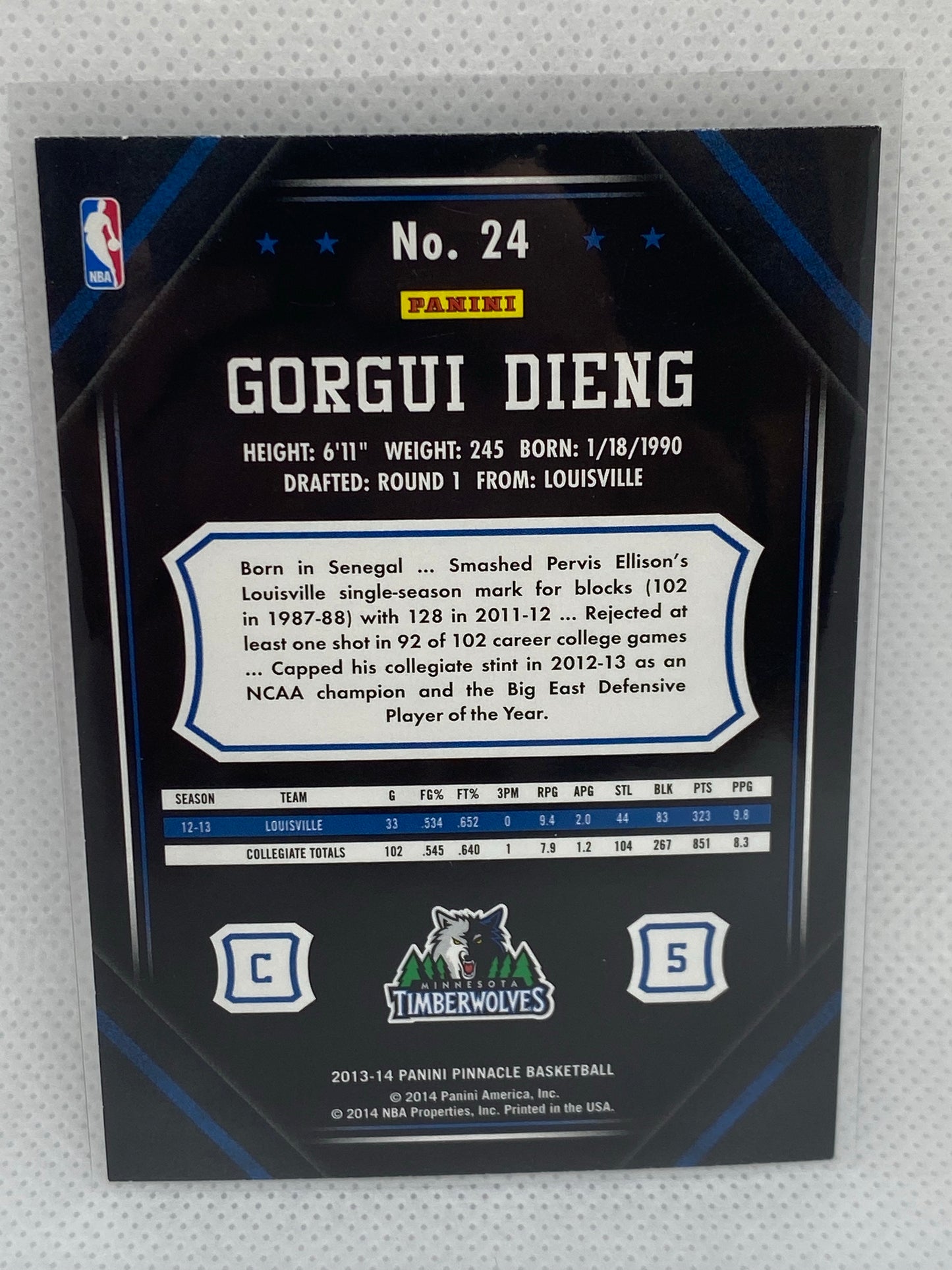 2013-14 Panini Pinnacle Rookie Gorgui Dieng #24